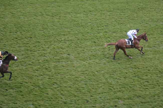 Arrivée quinté pmu PRIX ALCIDE à AUTEUIL