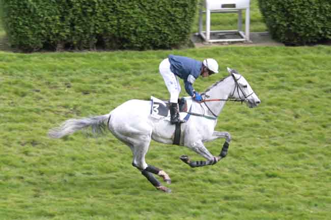 Arrivée quinté pmu PRIX ANDRE BOINGNERES à AUTEUIL