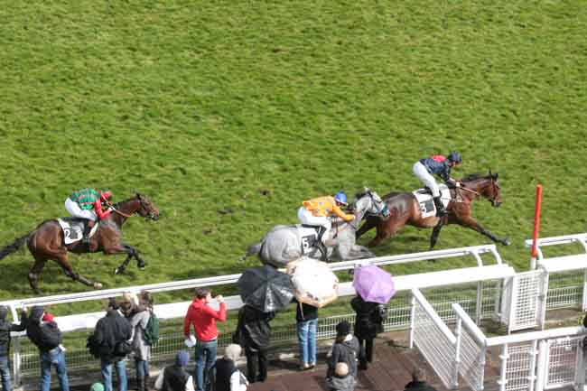 Arrivée quinté pmu PRIX VIRELAN à AUTEUIL