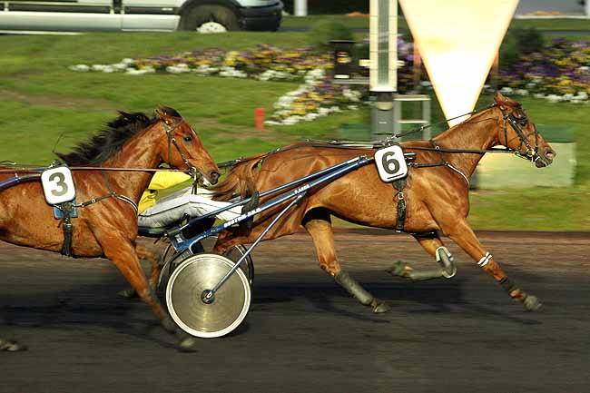 Arrivée quinté pmu PRIX MASINA à PARIS-VINCENNES