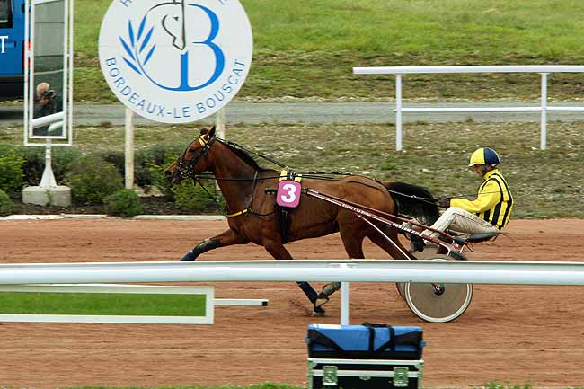 Arrivée quinté pmu PRIX JONNY RUFFATO à BORDEAUX-LE BOUSCAT