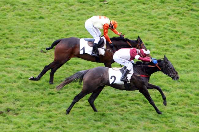 Arrivée quinté pmu PRIX DE PAU à AUTEUIL