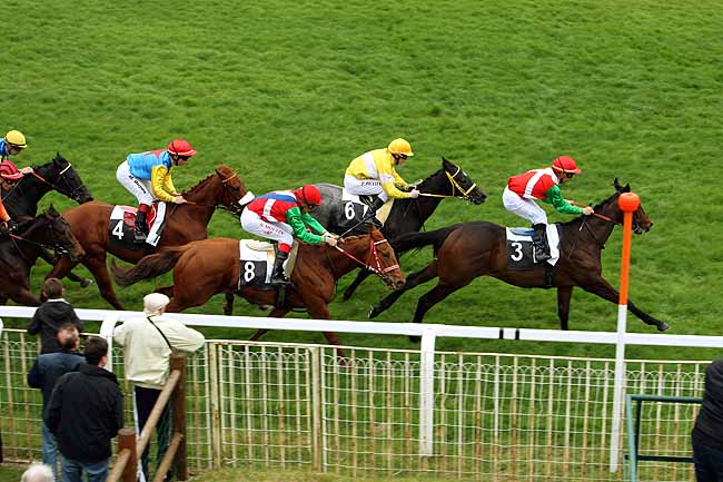 Arrivée quinté pmu PRIX DE LA CHAPELLE-LA-REINE à FONTAINEBLEAU