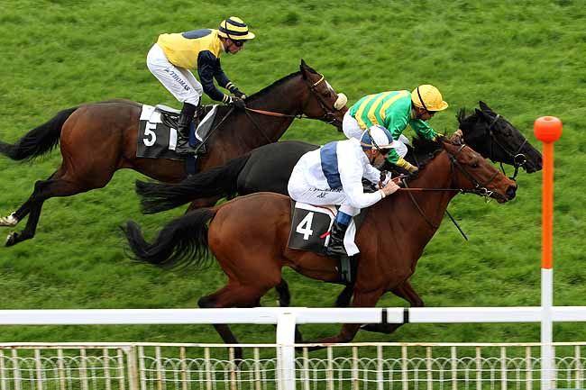 Arrivée quinté pmu PRIX DU CANAL DU LOING à FONTAINEBLEAU
