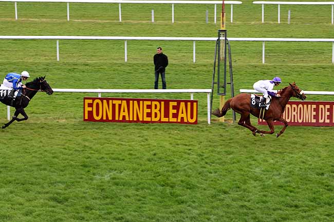 Arrivée quinté pmu PRIX DES HAUTEURS DE LA SOLLE à FONTAINEBLEAU