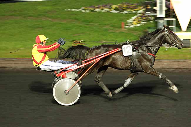Arrivée quinté pmu PRIX LIBUSSA à PARIS-VINCENNES