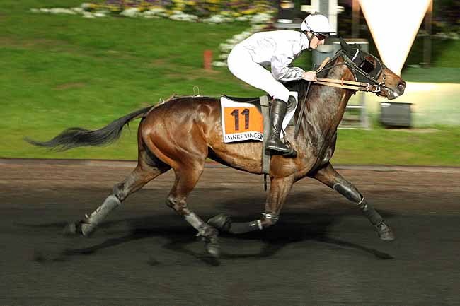 Arrivée quinté pmu PRIX ANNA à PARIS-VINCENNES