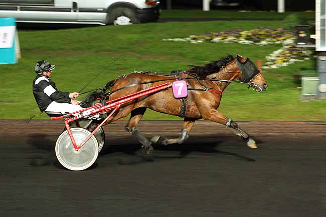 Arrivée quinté pmu PRIX REGINA à PARIS-VINCENNES