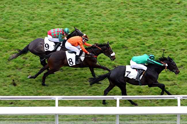Arrivée quinté pmu PRIX WILD MONARCH (PELOTON B) à AUTEUIL