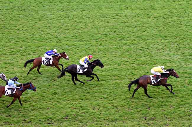 Arrivée quinté pmu PRIX DE CASTETS à AUTEUIL