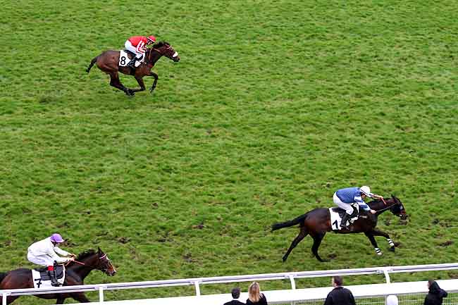 Arrivée quinté pmu PRIX GASTON BRANERE à AUTEUIL