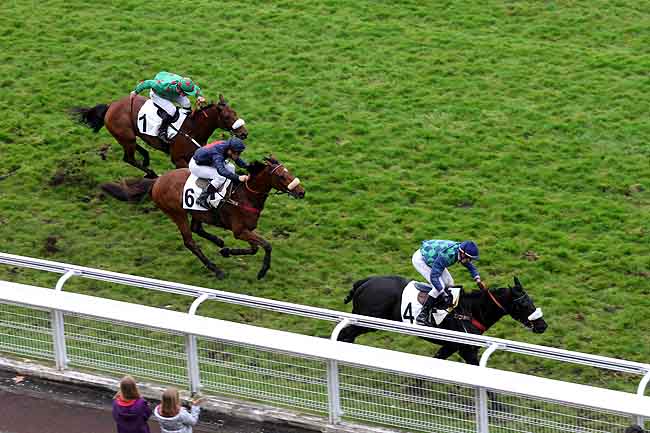 Arrivée quinté pmu PRIX AMADOU à AUTEUIL