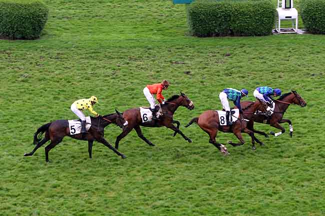 Arrivée quinté pmu PRIX JEAN STERN à AUTEUIL