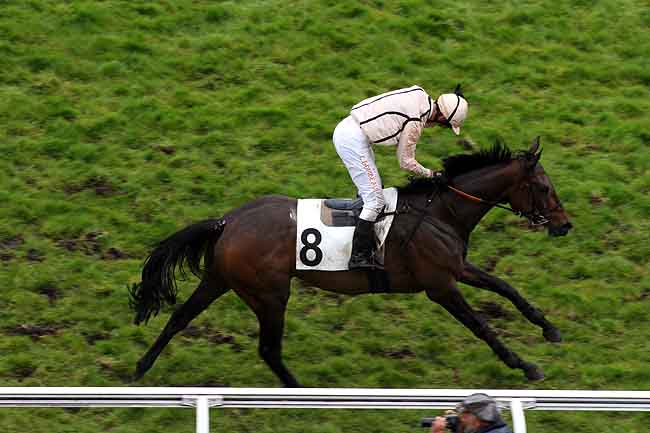 Arrivée quinté pmu PRIX LEON RAMBAUD à AUTEUIL