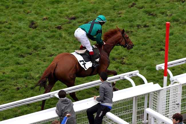 Arrivée quinté pmu PRIX ROGER DUCHENE à AUTEUIL