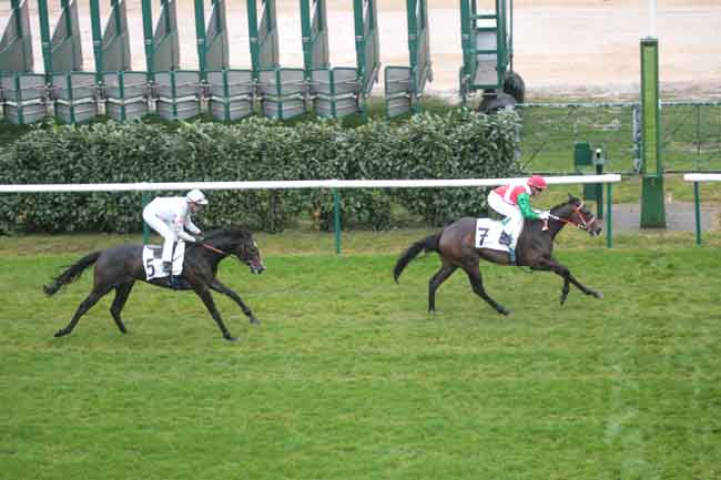 Arrivée quinté pmu PRIX DU CEDRE à CHANTILLY