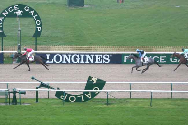 Arrivée quinté pmu PRIX DU GRAND MARAIS à CHANTILLY