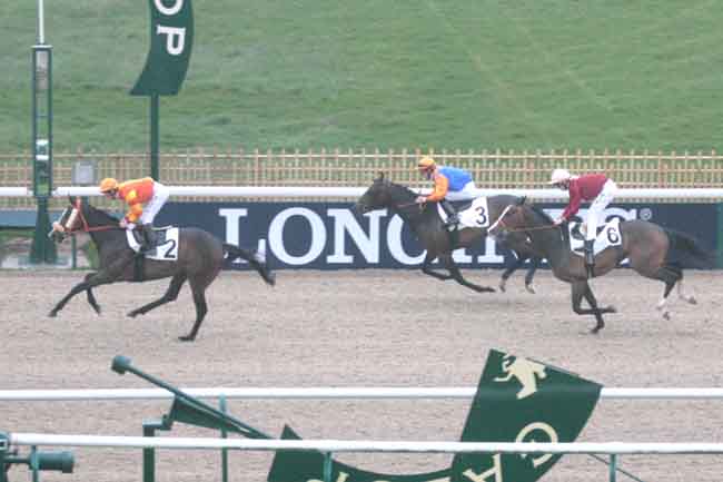 Arrivée quinté pmu PRIX DE LA BARAQUE CHAALIS à CHANTILLY