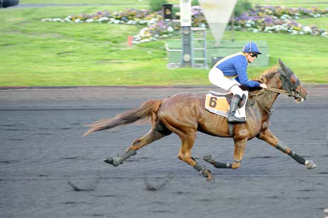 Arrivée quinté pmu PRIX RENE PALYART à PARIS-VINCENNES