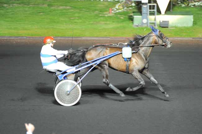 Arrivée quinté pmu PRIX ALMAK à PARIS-VINCENNES