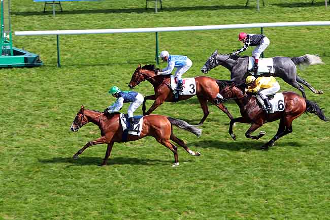 Arrivée quinté pmu PRIX DU PORT DE BERCY à LONGCHAMP