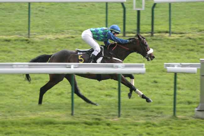 Arrivée quinté pmu PRIX XAVIER DE CHEVIGNY à COMPIEGNE