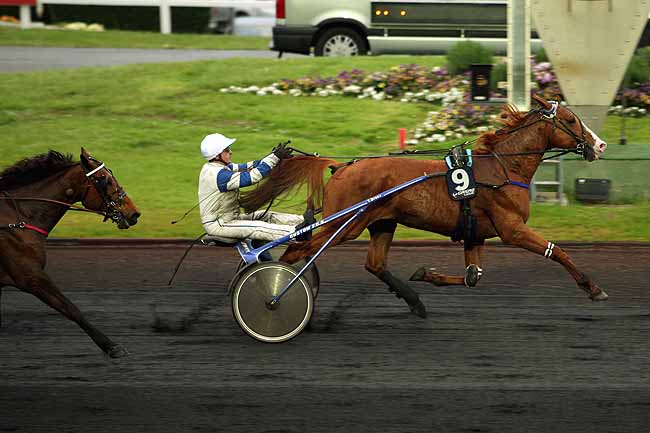 Arrivée quinté pmu PRIX DU JOURNAL GENY COURSES (PRIX BETTINA) à PARIS-VINCENNES