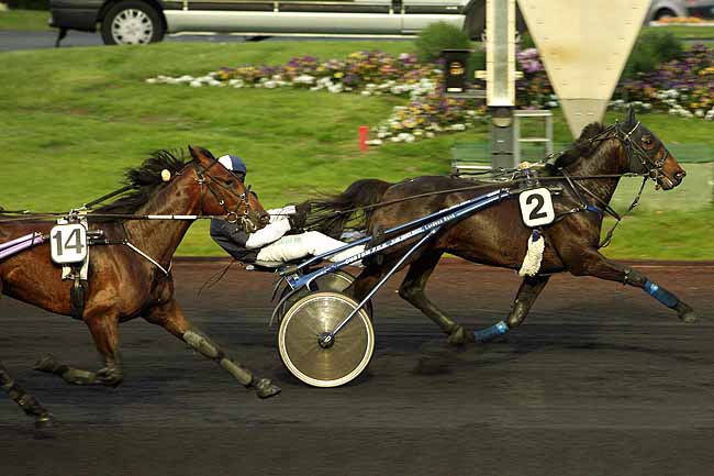 Arrivée quinté pmu PRIX GLAUKE à PARIS-VINCENNES