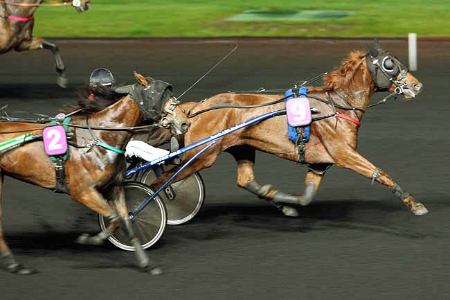 Arrivée quinté pmu PRIX IDA à PARIS-VINCENNES