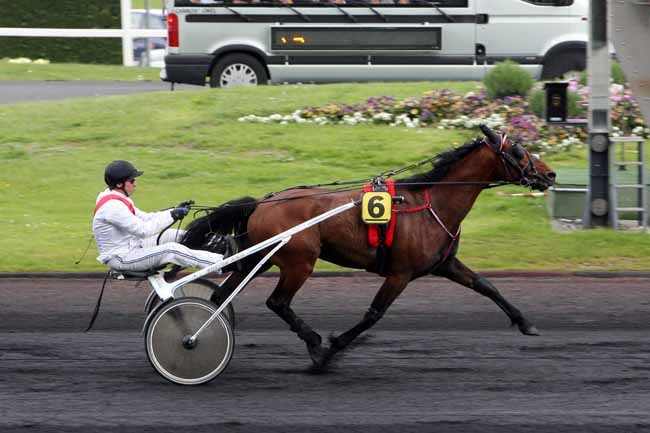Arrivée quinté pmu PRIX ALBERT DEMARCQ à PARIS-VINCENNES