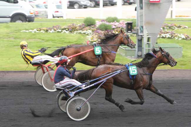 Arrivée quinté pmu PRIX DU ROUERGUE à PARIS-VINCENNES