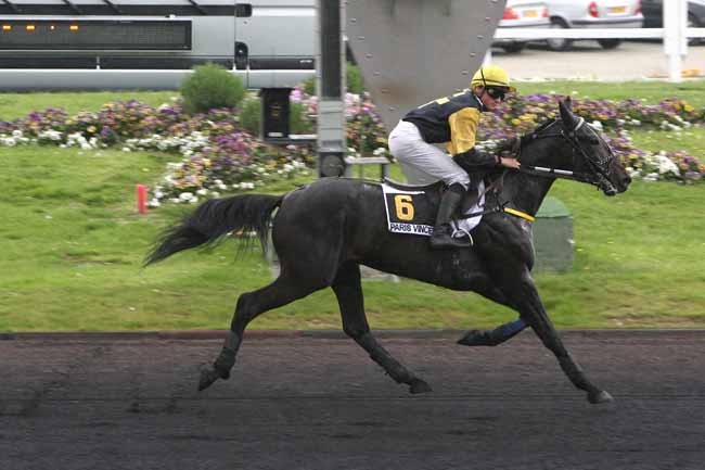 Arrivée quinté pmu PRIX D'ARPAJON à PARIS-VINCENNES
