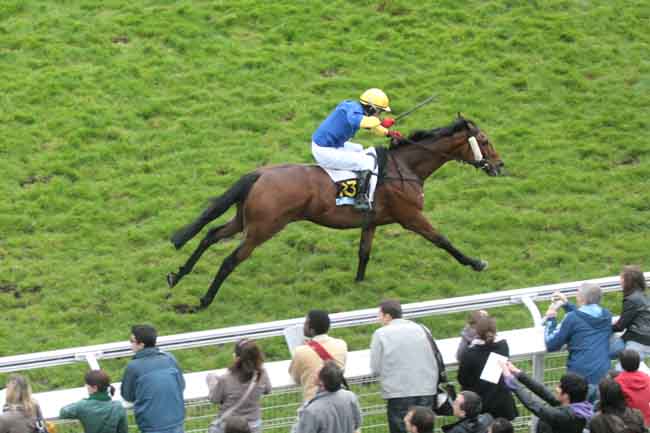Arrivée quinté pmu GRANDE COURSE DE HAIES DE PRINTEMPS (PRIX LE PARISIEN) à AUTEUIL