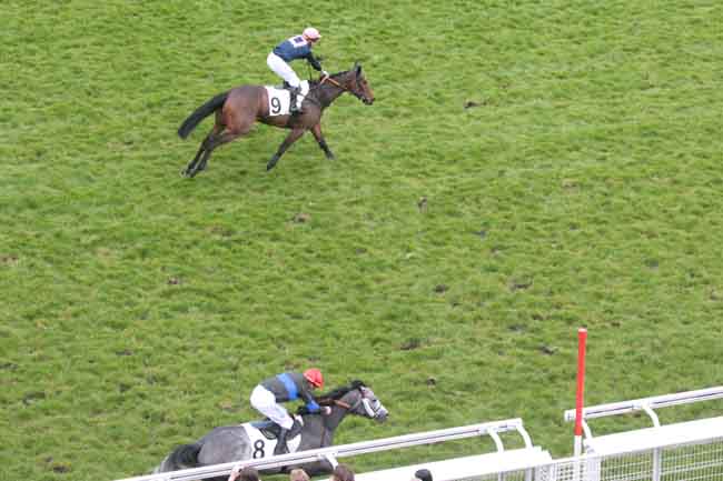 Arrivée quinté pmu PRIX D'ARLES à AUTEUIL