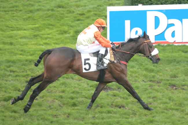 Arrivée quinté pmu PRIX SAINT-SAUVEUR à AUTEUIL
