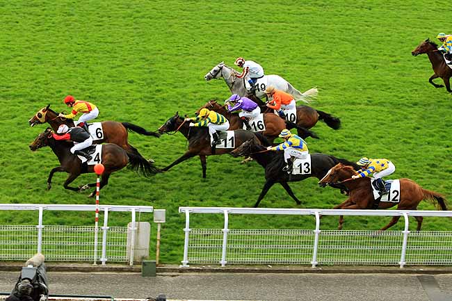 Arrivée quinté pmu PRIX DE LAMBOURN à MAISONS-LAFFITTE