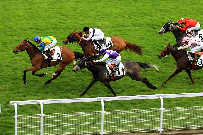 Arrivée quinté pmu PRIX DE MALBOROUGH à MAISONS-LAFFITTE