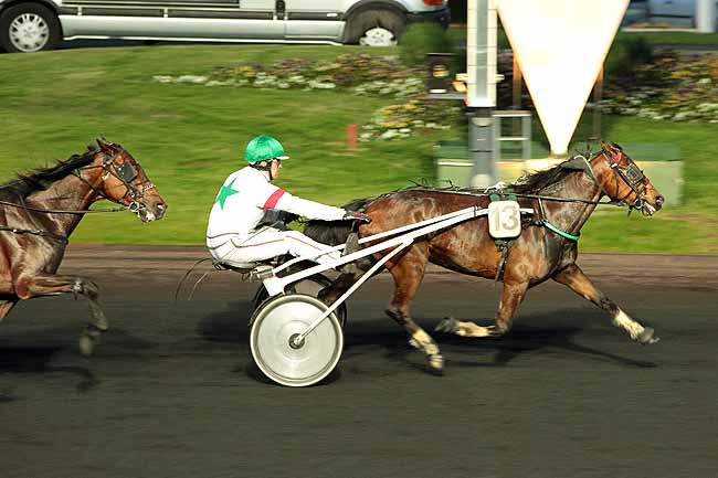Arrivée quinté pmu PRIX HAPATIA à PARIS-VINCENNES