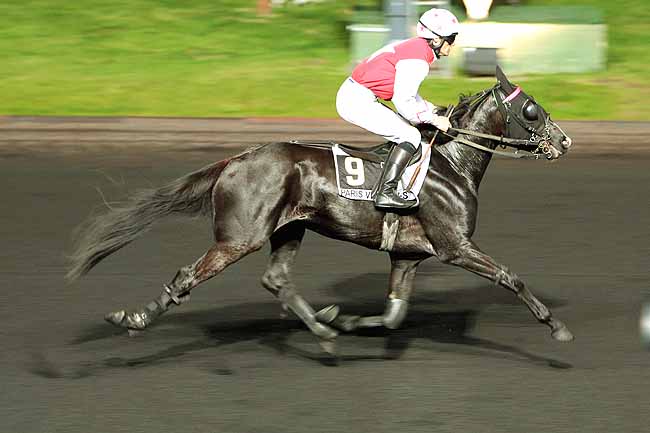 Arrivée quinté pmu PRIX FLORA à PARIS-VINCENNES