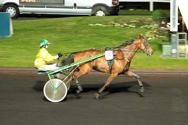Arrivée quinté pmu PRIX ANTARES à PARIS-VINCENNES