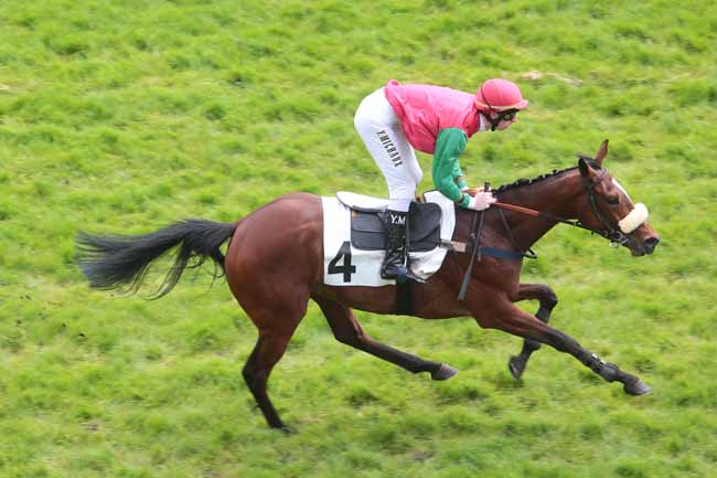 Arrivée quinté pmu PRIX FAUCHE LE PRE à AUTEUIL