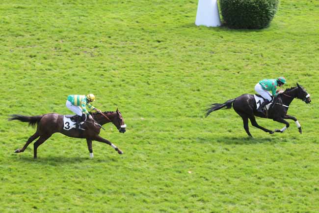 Arrivée quinté pmu PRIX ANDREA à AUTEUIL