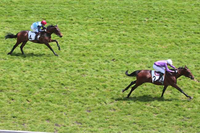 Arrivée quinté pmu PRIX WILD MONARCH à AUTEUIL