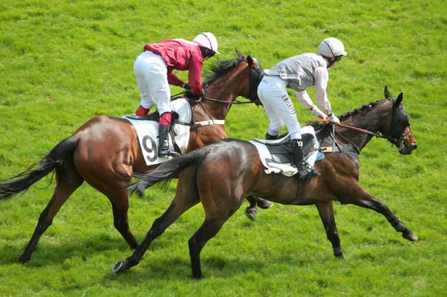 Arrivée quinté pmu PRIX MAUBOURGUET à AUTEUIL