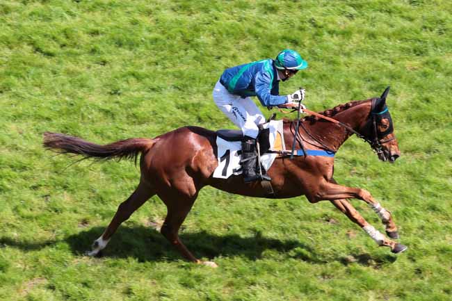 Arrivée quinté pmu PRIX PRETENTAINE à AUTEUIL