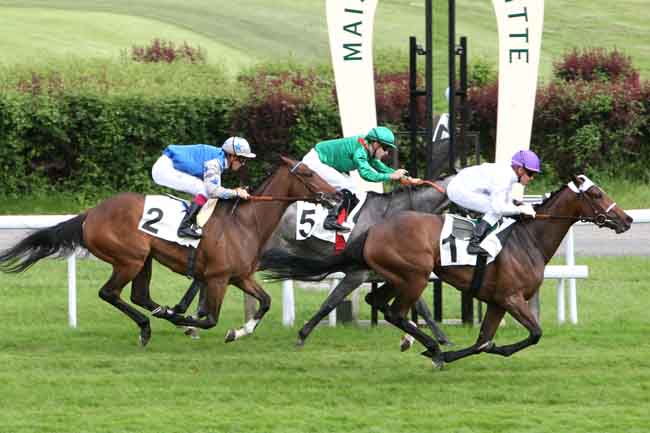 Arrivée quinté pmu PRIX KIZIL KOURGAN à MAISONS-LAFFITTE
