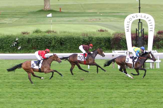 Arrivée quinté pmu PRIX DE SARTROUVILLE à MAISONS-LAFFITTE
