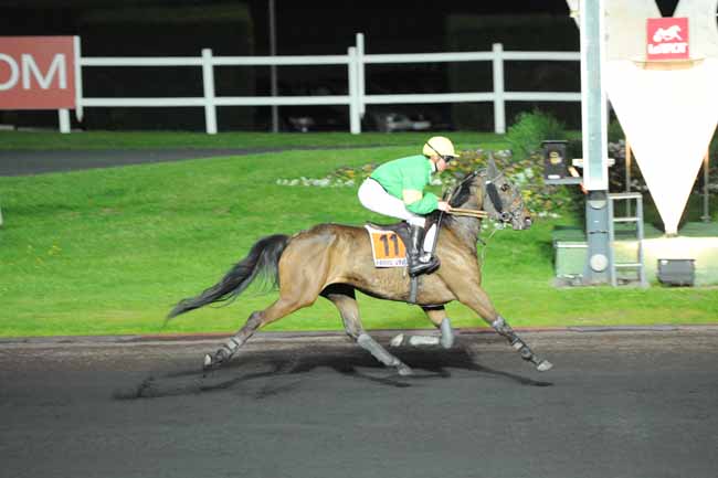 Arrivée quinté pmu PRIX NUWA à PARIS-VINCENNES