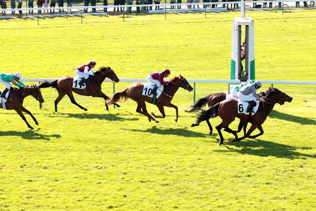 Arrivée quinté pmu PRIX DE SAINT-GEORGES à LONGCHAMP