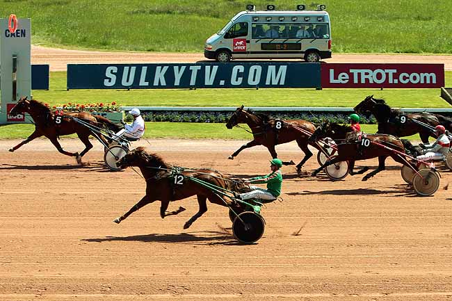 Arrivée quinté pmu PRIX GEORGES DREUX à CAEN
